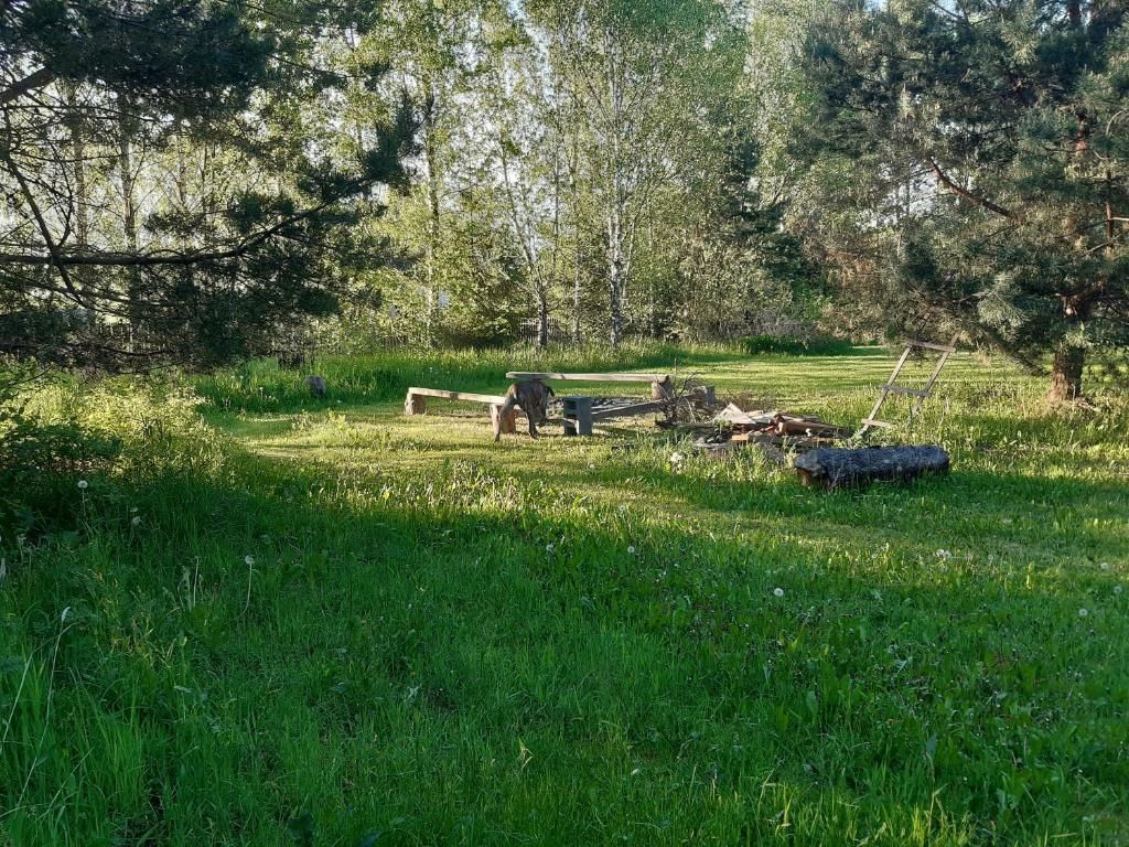 Дома для отпуска Domek na Mazurach-Piasutno Piasutno